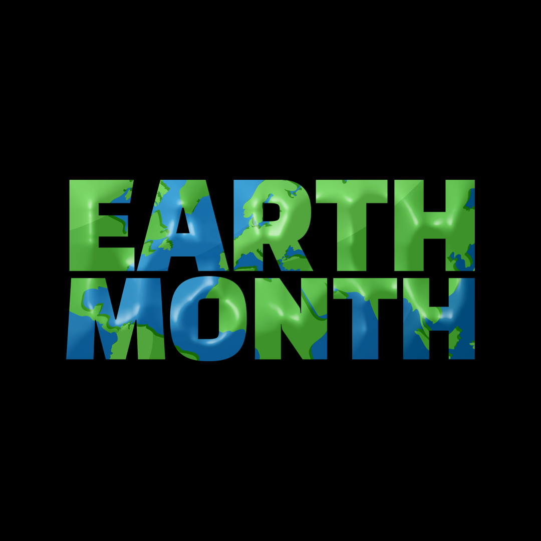 Week 12 Typography